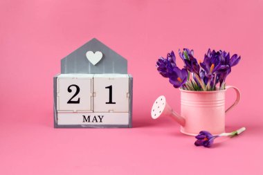 21 Mayıs takvimi: 21 numaralı bir küp, Mayıs ayının adı İngilizce, pembe arka planda bir buket mor timsah olan pembe bir sulama kutusu.