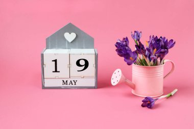 19 Mayıs takvimi: 19 numaralı bir küp, Mayıs ayının adı İngilizce, pembe arka planda bir buket mor timsah olan pembe bir sulama kutusu.