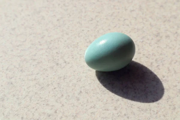 Blauw Van Een Vogel Een Lichtgrijze Achtergrond Zon Schaduw Van — Stockfoto