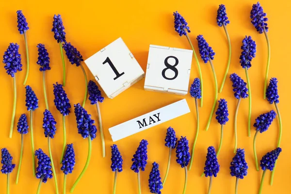 Calendário Para Maio Cubos Com Número Nome Mês Maio Inglês — Fotografia de Stock