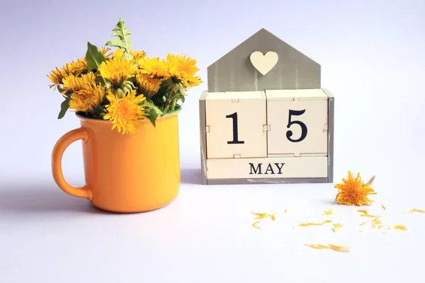 Calendar for May 15: cubes with the number 15, the name of the month of May in English, a bouquet of dandelions in a yellow cup on a light background