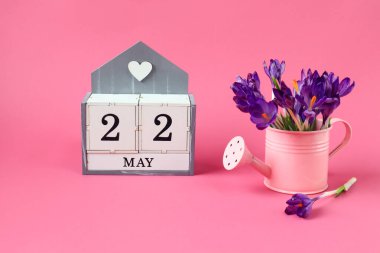 22 Mayıs takvimi: 22 numaralı bir küp, Mayıs ayının adı İngilizce, pembe arka planda bir buket mor timsah olan pembe bir sulama kutusu.