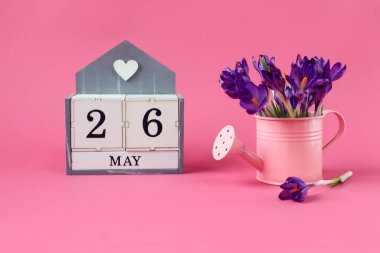26 Mayıs takvimi: 26 numaralı bir küp, İngilizce 'de ayın adı, pembe arka planda bir buket mor timsah olan pembe bir sulama kutusu.