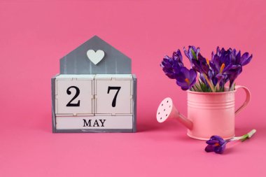 27 Mayıs takvimi: 27 numaralı bir küp, Mayıs ayının adı İngilizce, pembe arka planda bir buket mor timsah olan pembe bir sulama kutusu.