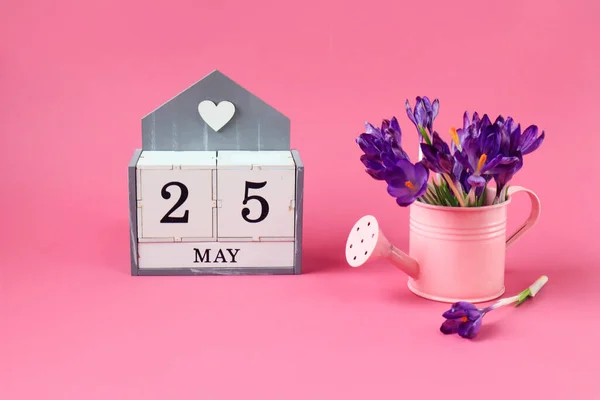 Calendar for May 25: a cube with the number 25, the name of the month of May in English,a pink watering can with a bouquet of purple crocuses on a pink background