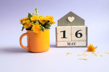 16 Mayıs için takvim: 16 numaralı küp, İngilizce 'de ayın adı, açık arkaplanda sarı bir fincanda bir buket karahindiba.
