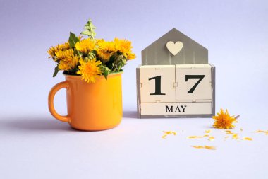 17 Mayıs takvimi: 17 numaralı küp, İngilizce 'de ayın adı, açık arkaplanda sarı bir fincanda bir buket karahindiba.