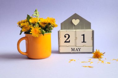 21 Mayıs takvimi: 21 numaralı küp, İngilizce 'de ayın adı, açık arkaplanda sarı bir fincanda bir buket karahindiba.