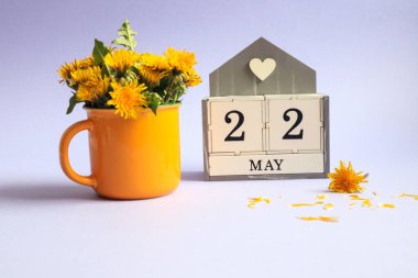 22 Mayıs takvimi: 22 numaralı küp, İngilizce 'de ayın adı, açık arkaplanda sarı bir fincanda bir buket karahindiba.