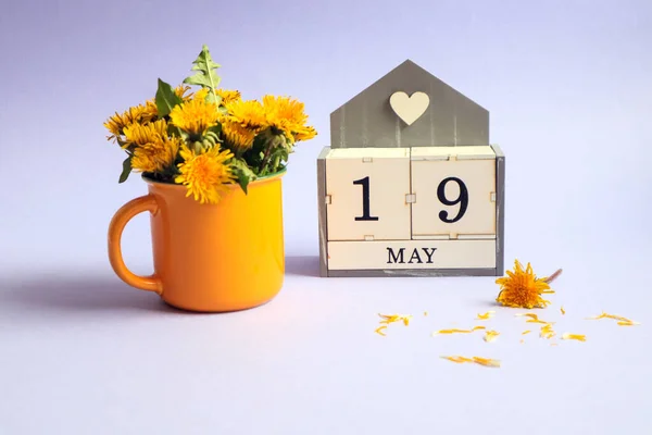Calendar for May 19: cubes with the number 19, the name of the month of May in English, a bouquet of dandelions in a yellow cup on a light background