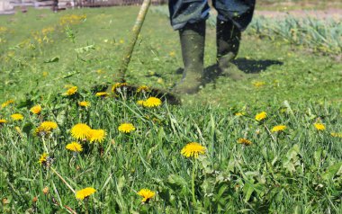 Bahar çimlerinde çim biçme makinesi çalışıyor botların arka planında, yan görünümde.