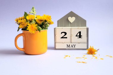 24 Mayıs takvimi: 24 numaralı küp, İngilizce 'de ayın adı, açık arkaplanda sarı bir fincanda bir buket karahindiba.