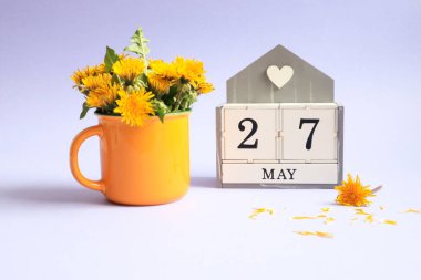 27 Mayıs takvimi: 27 numaralı küp, Mayıs ayının İngilizce adı, sarı bir fincanda bir buket karahindiba. 