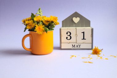 31 Mayıs takvimi: 31 Mayıs küpleri, İngilizce 'de ayın adı, açık arkaplanda sarı bir fincanda bir buket karahindiba.