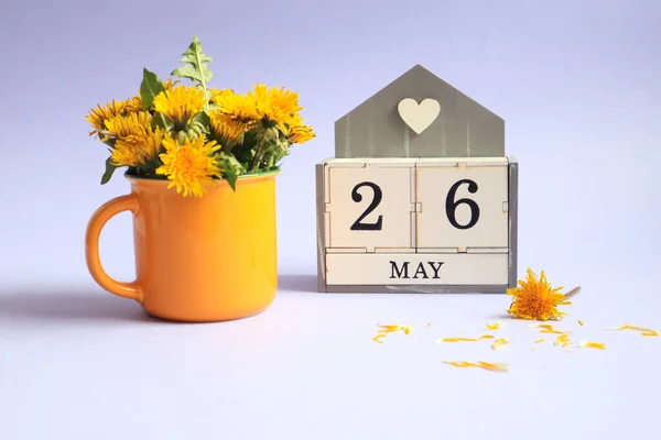 Calendar for May 26: cubes with the number 26, the name of the month of May in English, a bouquet of dandelions in a yellow cup on a light background