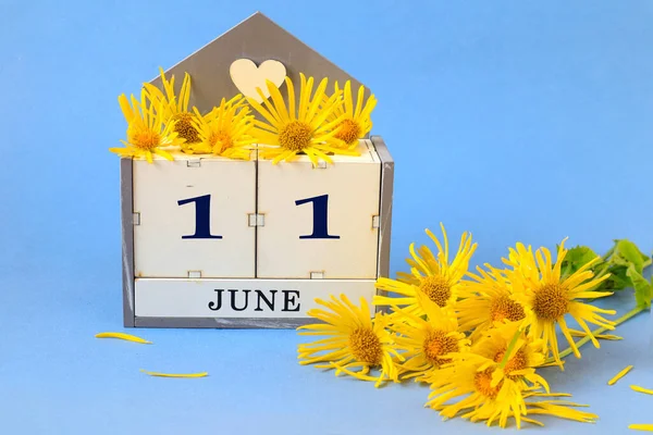 Calendar for June 11: cubes with the number 11 , the name of the month of June in English, a yellow daisy scattered on a blue background