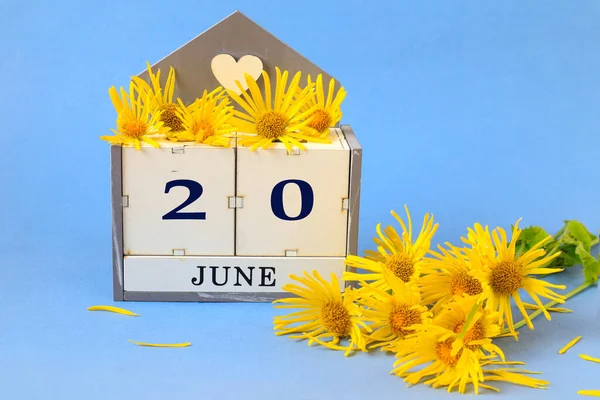 Calendar for June 20: cubes with the number 20 , the name of the month of June in English, a yellow daisy scattered on a blue background
