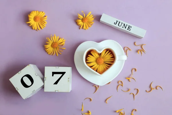 Kalender Voor Juni Naam Van Maand Juni Het Engels Blokjes — Stockfoto