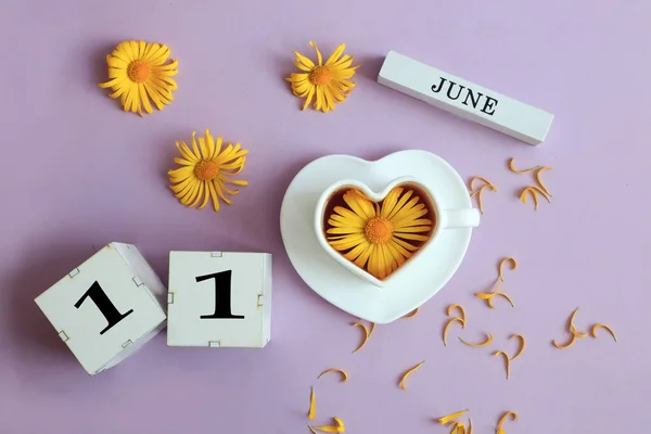 Kalender Voor Juni Naam Van Maand Juni Het Engels Blokjes — Stockfoto