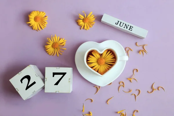 Calendario Para Junio Nombre Del Mes Junio Inglés Cubos Con — Foto de Stock