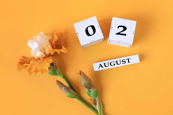 Calendar August Name Month August English Cubes Numbers Yellow Iris — Stock Photo, Image