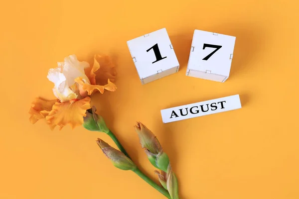 Kalender För Augusti Namnet Augusti Månad Engelska Kuber Med Nummer — Stockfoto