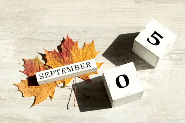 9月5日日历 英语中9月份的名称 数字为05的立方体 两片枫叶在阳光下灰暗的背景上 物体的阴影 顶视图 — 图库照片