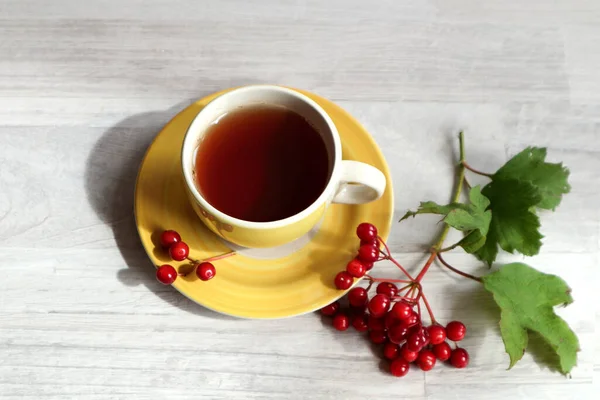 Őszi Reggel Koncepciója Sárga Csésze Tea Egy Csészealjon Viburnum Ágak — Stock Fotó