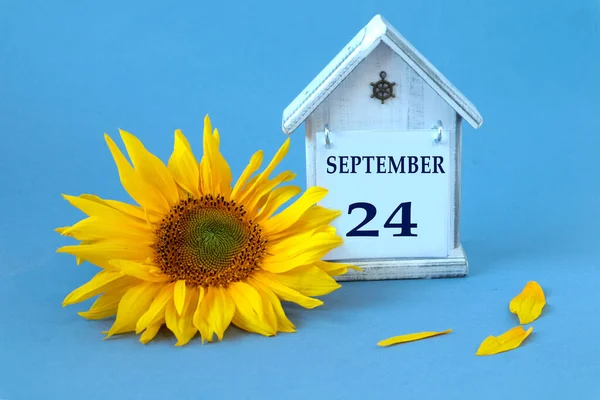 Calendar for September 24 : decorative house with the name of the month in English, number 24, yellow sunflower flower, scattered petals on a blue background, side view