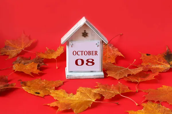 十月八日的日历 用英文写着月名的装饰房屋 编号08 红色背景的秋天枫叶 侧视图 — 图库照片