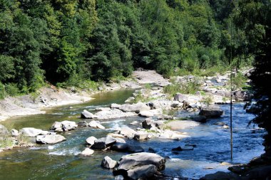 Ormanın ortasındaki nehir