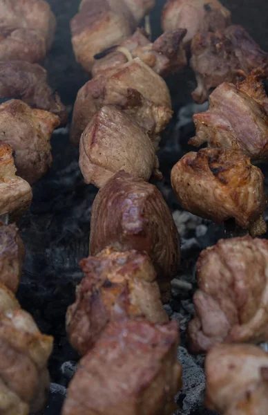 Jugosa Carne Parrilla Parrilla Pinchos —  Fotos de Stock