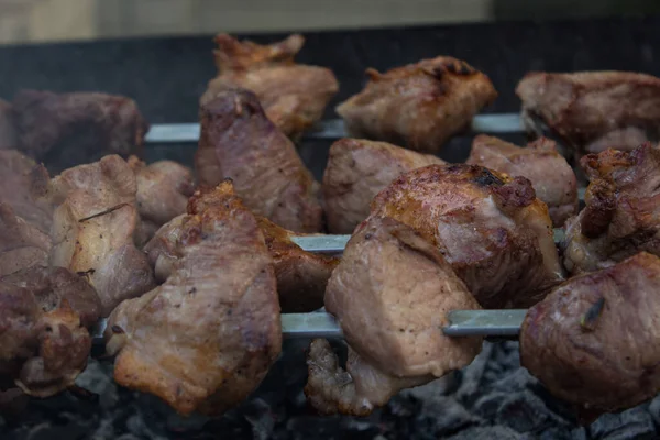 Jugosa Carne Parrilla Parrilla Pinchos —  Fotos de Stock