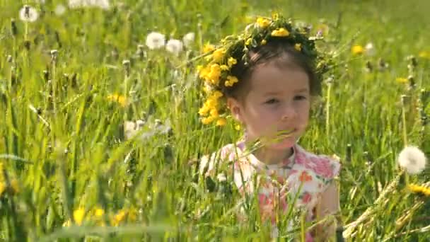 Clipe de prado de primavera # 12 — Vídeo de Stock