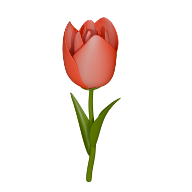 İlkbaharın tazeliğini sembolize eden, çiçek açan bir lalenin 3 boyutlu yumuşak bir çizimi. Yumuşak yapraklar, yumuşak eğimler ve parlak mevsimsel renkler doğa teması ve çiçek grafikleri için mükemmel bir modern görünüş yaratır.