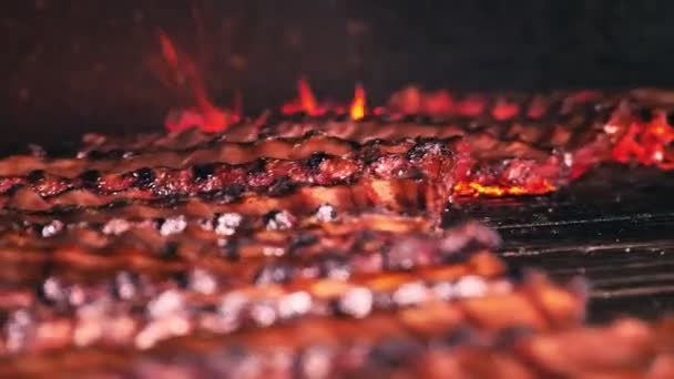 烤肉烤肉。在火炭之上的烤架上，用香料和香草烹调多汁的猪肉条。肉是在旋转烤肉架上烹调的 — 图库视频影像
