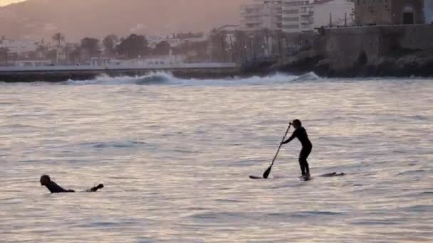 Sylwetka grupa surferów wiosłujących na fali oceanicznej podczas sesji o zachodzie słońca — Wideo stockowe