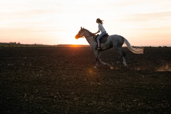 Junges blondes Mädchen reitet bei Sonnenuntergang auf einem Pferd auf dem Feld — Stockfoto