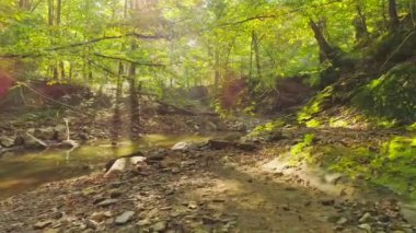 Hava görüntüsü. Güneşli Yaz Peri Ormanı 'nda Güzel Dağ akan bir Nehir