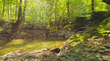 Hava görüntüsü. Güneşli Yaz Peri Ormanı 'nda Güzel Dağ akan bir Nehir.