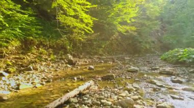 Hava Çekimi. Dağ nehri taş kaya ve kütüklerin arasında akıyor..