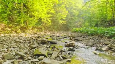 Hava Çekimi. Dağ nehri taş kaya ve kütüklerin arasında akıyor..