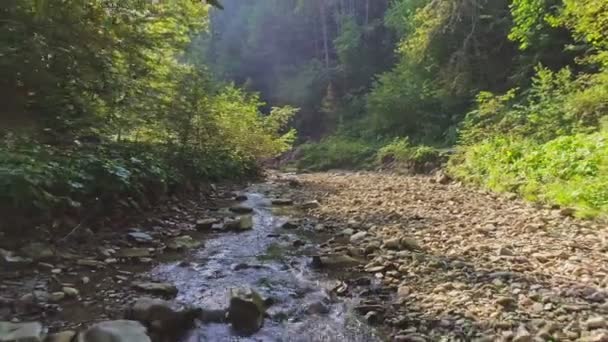 Filmagem aérea. Rio de montanha que flui entre pedras e troncos. — Vídeo de Stock