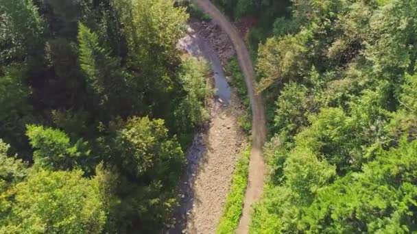 Ovanifrån av en bergsflod med stenar på banken och angränsande gröna träd — Stockvideo