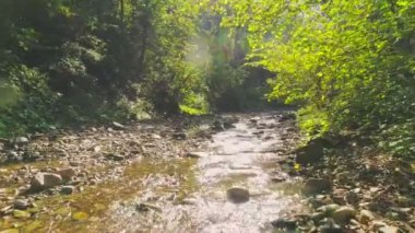 Hava görüntüsü. Nehrin Güzel Doğal Manzaraları, Rocky Banks