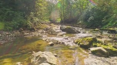 Havadan Bakış. Yeşil Ağaçlı Peri Ormanı 'nın ortasındaki Sessiz Dağ Nehri.