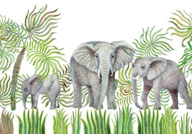Suluboya savana safari hayvanlarının kusursuz sınır çizgisi. El boyaması Afrika filleri, palmiye yaprakları, otlar, otlar, beyaz arka planda izole edilmiş çalılar.