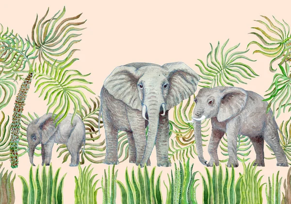Modello Bordo Senza Soluzione Continuità Acquerello Savana Safari Animali Elefanti — Foto Stock