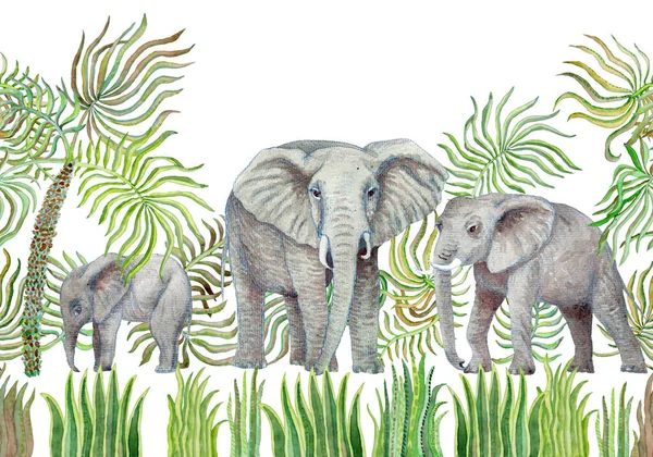 Suluboya savana safari hayvanlarının kusursuz sınır çizgisi. El boyaması Afrika filleri, palmiye yaprakları, otlar, otlar, beyaz arka planda izole edilmiş çalılar.