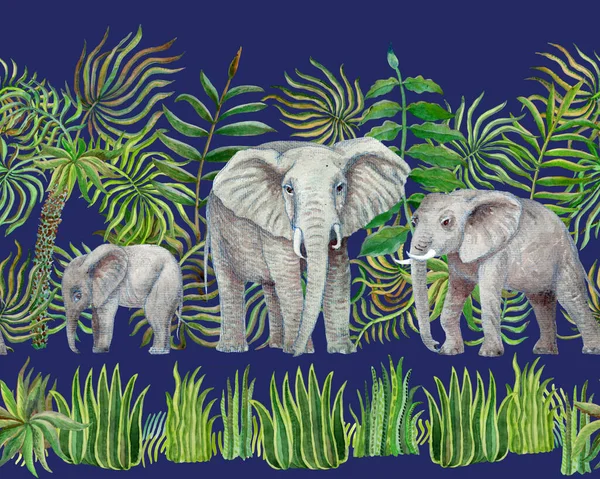 Modèle Bordure Sans Couture Des Animaux Safari Savane Aquarelle Éléphants — Photo